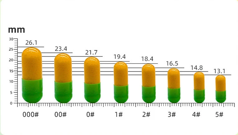 Size 2 capsule filling machine Size 2 capsule filling machine