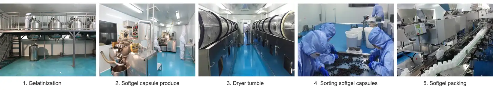 Soft Gel Capsule Manufacturing Machine Soft Gel Capsule Manufacturing Machine