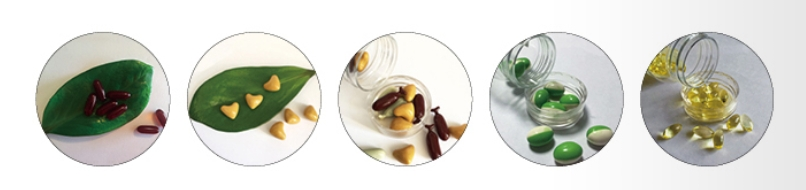 soft gel capsule filling machine soft gel capsule filling machine