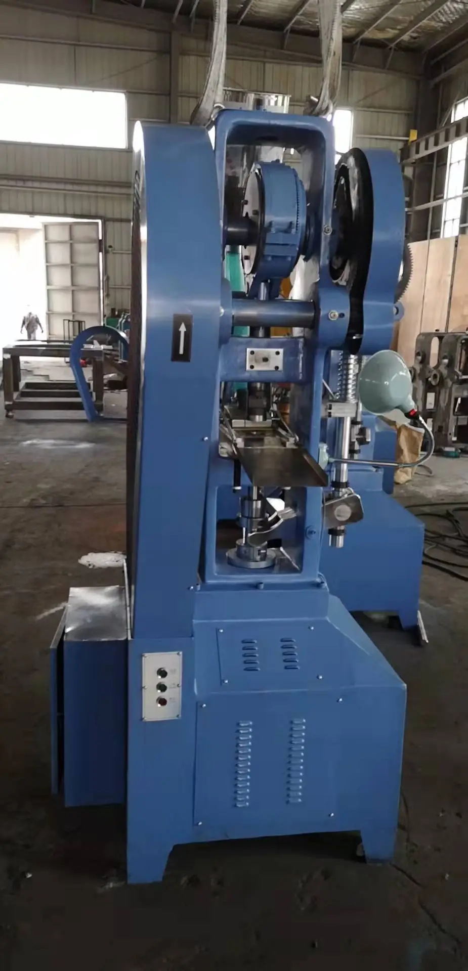 Large Diameter Tablet Press