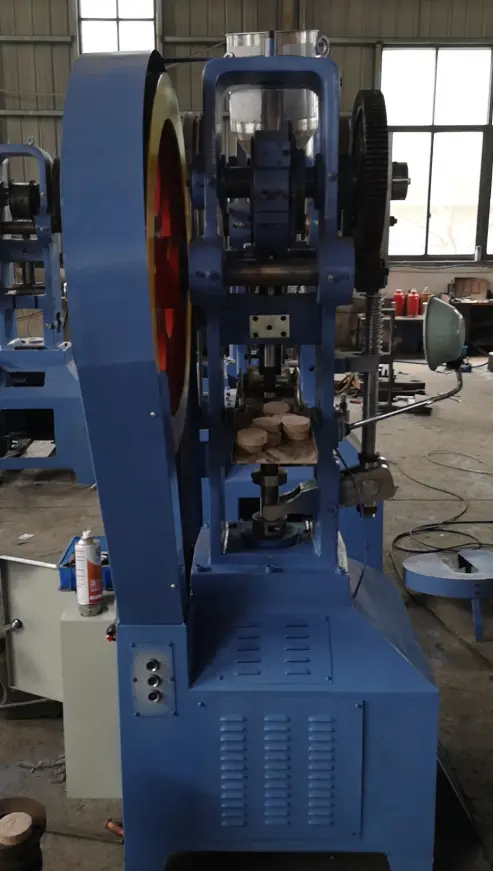 Large Diameter Tablet Press